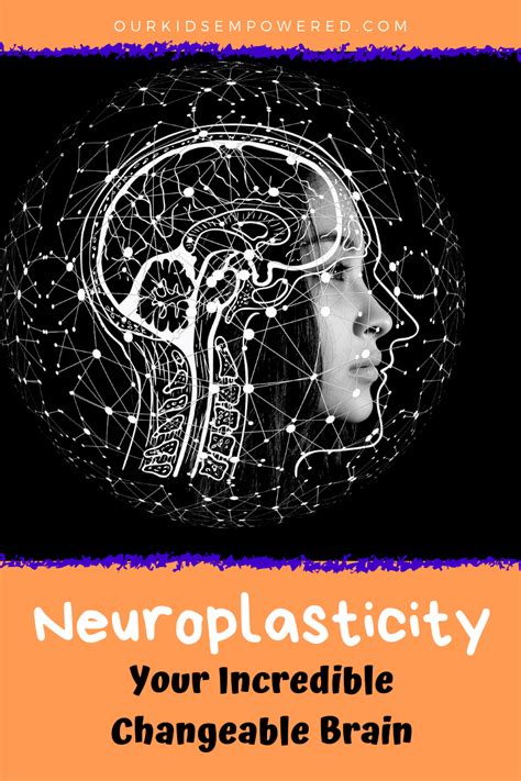 Neuroplasticity – Our Kids Empowered