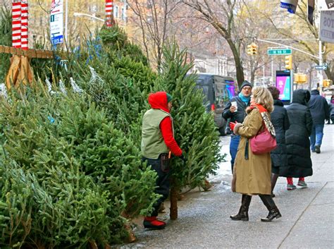 Here's Where To Buy A Christmas Tree In NYC - Secret NYC