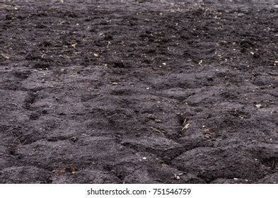 Black Earth Soil Stock Photo 751546759 | Shutterstock