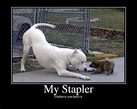 [Image - 12693] | I Believe You Have My Stapler | Know Your Meme