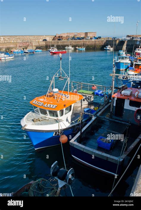 Fishing boats in Victoria Harbour, Dunbar. Scotland Stock Photo - Alamy