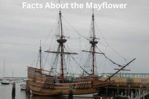 10 Facts About the Mayflower Ship - Have Fun With History