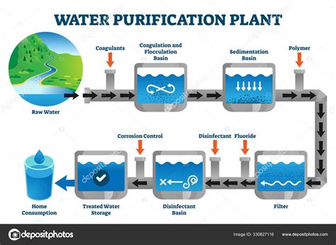 Purificación de agua planta filtración proceso explicación vector ...