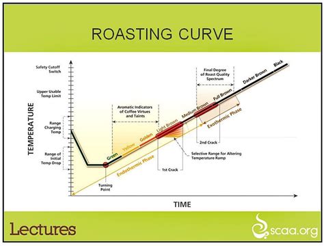 Roast Profiles and Why They Matter - Kofihana