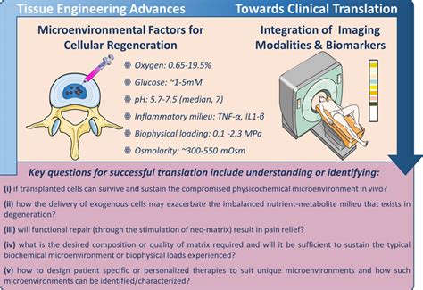 Critical aspects and challenges for intervertebral disc repair and ...