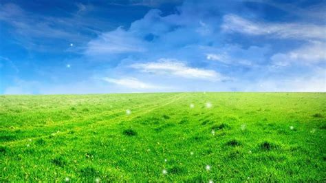 Natural Beautiful - Background Easyworship Loop | Beautiful backgrounds, Field wallpaper, Blue ...