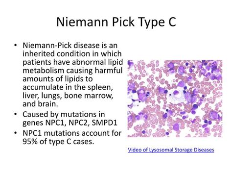 PPT - Diagnosing Niemann Pick disease, Type C PowerPoint Presentation ...