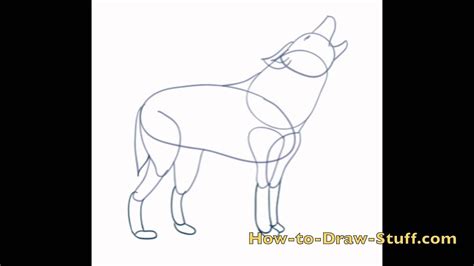 How to Draw a Wolf Step by Step - YouTube