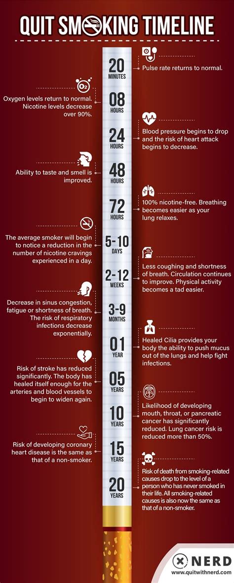 Pin on Health Infographics