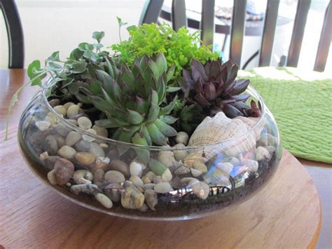 Indoor Succulent Dish Garden Ideas | Types Of Succulent Plant