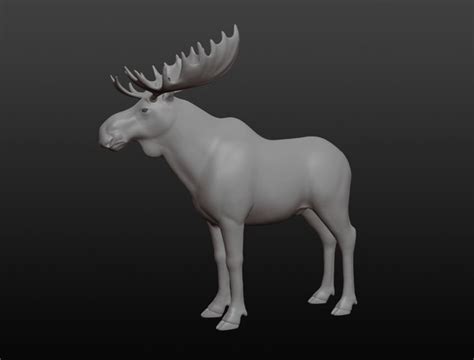 Free 3D Sculptris Models | TurboSquid