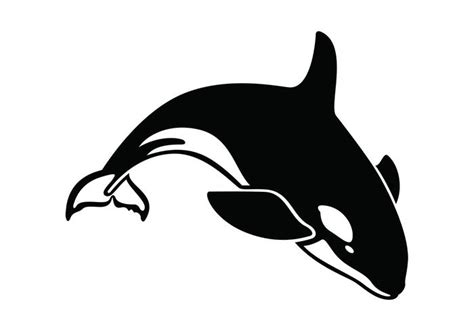 Humpback Whale Vector at GetDrawings | Free download