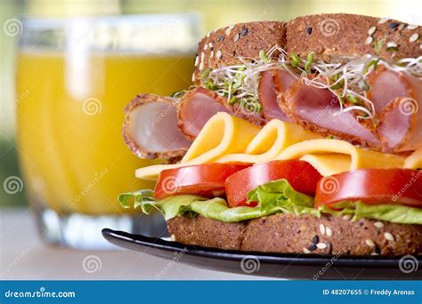 Deli Meat Sandwich with Turkey Stock Image - Image of cold, meal: 48207655