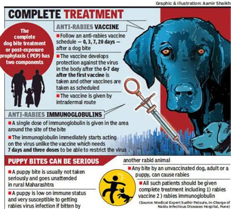 Is It Necessary To Take Injection After Puppy Bite