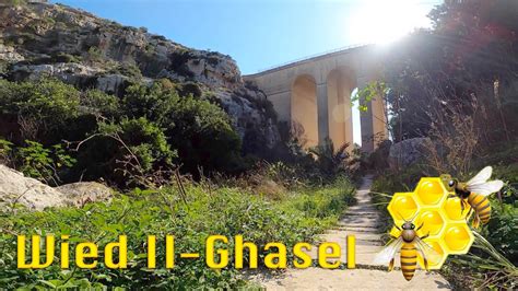 Wied il-Ghasel Mosta Malta (the Valley of Honey) - YouTube