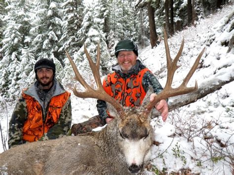 Montana Hunting Outfitter | Montana Hunting Season Report for 2013