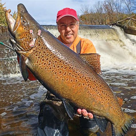 Montana Angler Recounts Catching New State Record Brown Trout | atelier-yuwa.ciao.jp