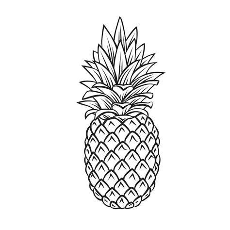 Premium Vector | Pineapple tropical fruit outline icon, drawing ...