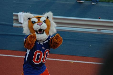 Savannah State Tigers mascot | Savannah state university, Mascot, Dance ...