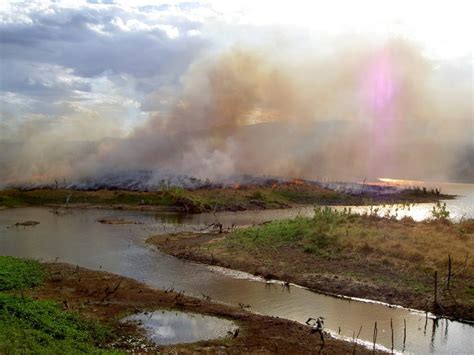 Progressive Views: Fiddling While the Planet Burns – Democratic Party of Kendall County, Texas