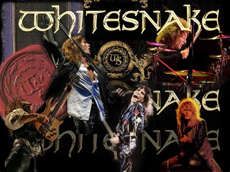 🔥 Download Whitesnake Wallpaper Photo Whitesnakewallpaper Jpg by @tray ...