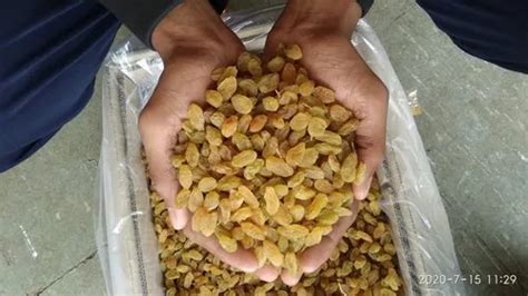 Kismis Dry Fruit, Packaging Type: Carton at Rs 170/kilogram in Kolhapur | ID: 22495033433