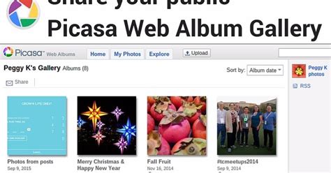 Picasa Web Albums is the new (old) home of your public photo gallery