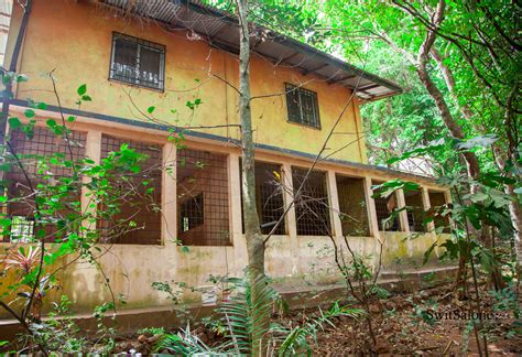 Tacugama Chimpanzee Sanctuary-Sierra Leone-Wildlife-Chimpanzee-18 ...