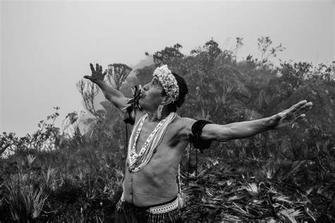 Amazonia - Sebastiao Salgado - Collection | OpenSea