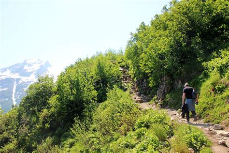 Harding Icefield Trail: Guide To A Rewarding Hike