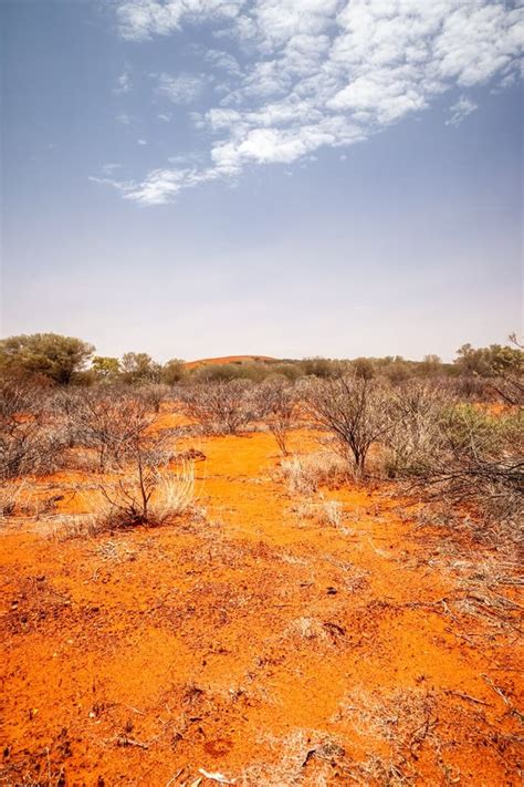 Landscape Scenery of the Australia Outback Stock Photo - Image of ...