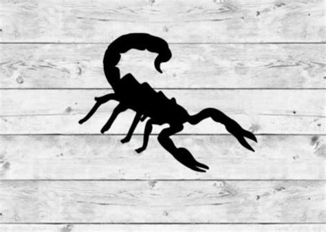 Scorpion Decal Scorpion Vinyl Decal Scorpion Sticker - Etsy