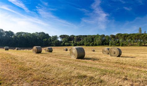 Missouri Department of Agriculture Updates Hay Directory Website