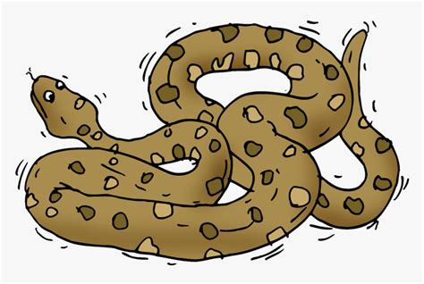 Anaconda Clipart, HD Png Download , Transparent Png Image - PNGitem