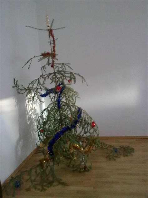 Christmas tree FAIL......lol | Funny christmas tree, Ugly christmas tree, Christmas themes ...