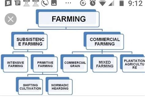 Agriculture Flow Chart