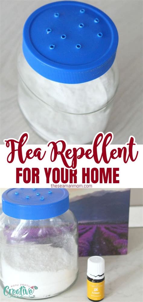 DIY Natural Flea Repellent Powder For Home - Easy Peasy Creative Ideas