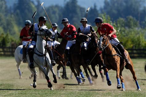 Seattle Polo & Equestrian Club