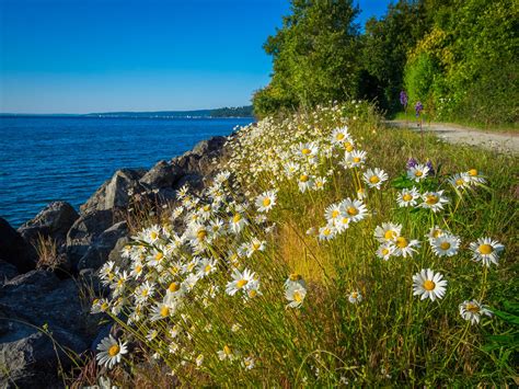 8 beginner hikes in and around Seattle - Curbed Seattle