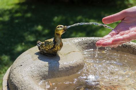 Building a Concrete Water Drinking Fountain DIY - DIY Home Repair