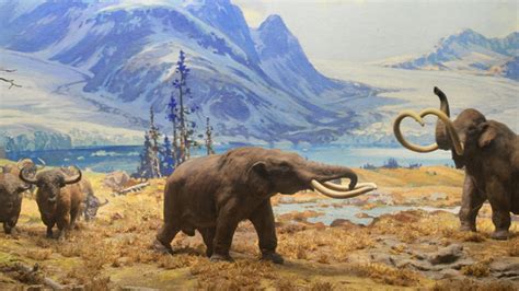Extinct American Mammals of the Ice Age | AMNH
