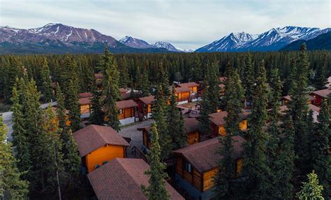 Denali Cabins | Your Base Camp Near Denali National Park