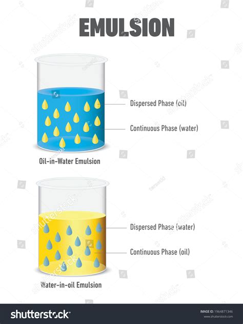 Emulsion Types Oil Water Water Oil Stock Vector (Royalty Free) 1964871346 | Shutterstock