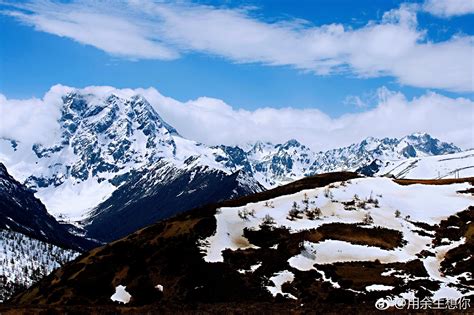 云南白马雪山白马雪山国家级自然保护区位于云南省西北部迪庆藏族自