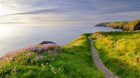 Pembrokeshire Coast Path Walking Holidays - 2023 & 2024