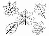 Fall Leaves  10 Free PDF Printables Printablee sketch template