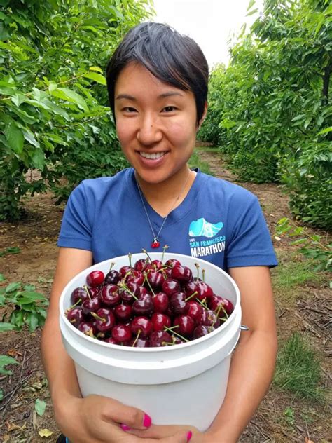 Brentwood Cherry Picking Season 2025 - Jaime Romonda