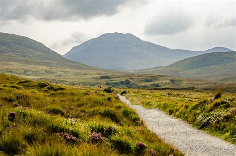 Are Dogs Allowed In Connemara National Park