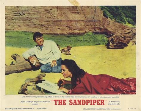 The Sandpiper - movie POSTER (Style A) (11" x 14") (1965) - Walmart.com