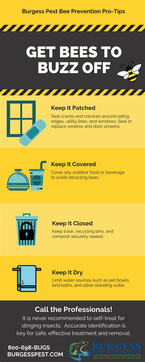 Buzz Off! Bee Prevention Tips [INFOGRAPHIC]